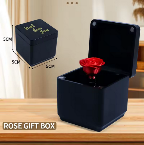 Prank box